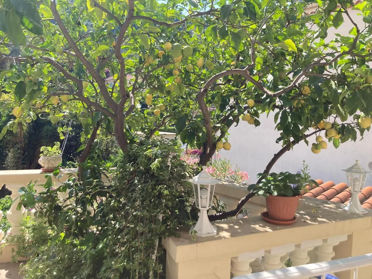 Studio Villa la Cigale avec grand Terrasse Menton